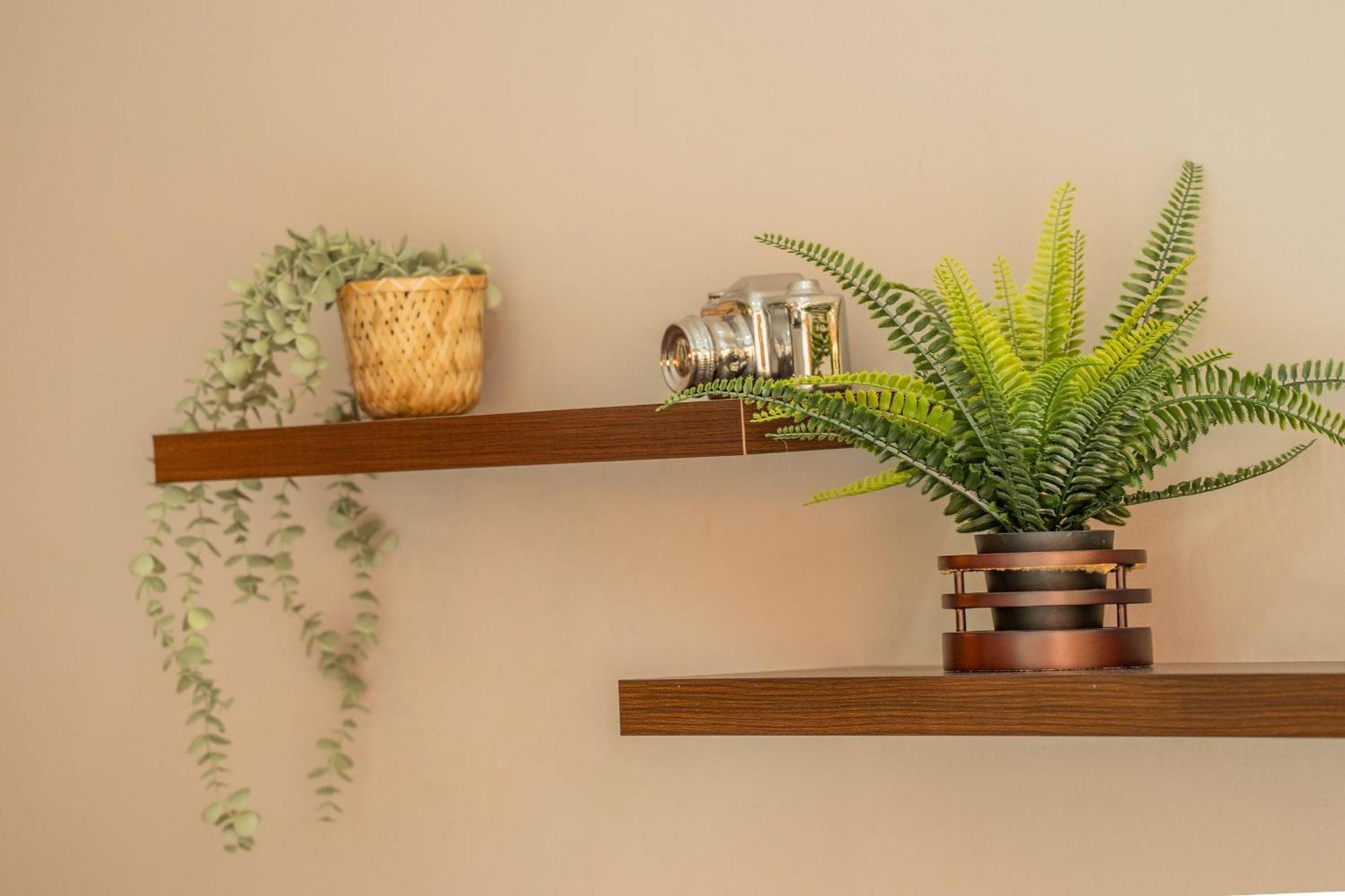 Frente Al Mar Con Acceso Directo A La Playa Morros 922 Apartamento